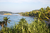 Tropische Landschaft mit Palmen und blauem Meer, Mirissa, Sri Lanka, Asien