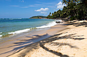 Tropical landscape of palm trees and sandy beach, Mirissa, Sri Lanka, Asia shadow of palm tree
