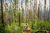 Walkers passing through forest, Ella Rock mountain, Ella, Badulla District, Uva Province, Sri Lanka, Asia