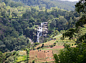 Little Rawana oder Ravana Falls Wasserfall, Ella, Badulla District, Provinz Uva, Sri Lanka, Asien