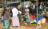 Obst- und Gemüsemarkt in der Stadt Haputale, Badulla District, Provinz Uva, Sri Lanka, Asien