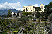 Blick auf die Gärten von Schloss Trauttmansdorff, Meran, Südtirol, Italien, Europa