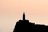  Europe, Spain, Mallorca, lighthouse, Cap Formentor 