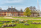  Flowers in front of the Water Palace in the Pillnitz Palace Park in spring, Dresden, Saxony, Germany 