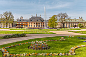 Blumen vor dem Wasserpalais im Schlosspark Pillnitz im Frühling, Dresden, Sachsen, Deutschland
