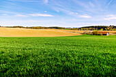  Hilly landscape with wooden barn, fields and forest on the cycle path &quot;Pilgertour&quot; near Grünbach between Bockhorn and Maria Thalheim in Erdinger Land in Upper Bavaria in Germany 