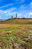 Cap Fréhel, Plévenon, Côtes-d'Armor, Frankreich