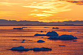 Eisberg im Abendlicht, Kangia Eisfjord, UNESCO Weltnaturerbe, Disko-Bucht, West-Groenland, Grönland