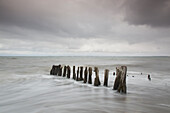  Groyne on the Baltic Sea, Schleswig-Holstein, Germany 