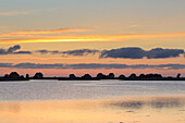  Houses at Graswarder on the Baltic Sea at sunrise, Schleswig-Holstein, Germany 