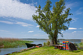 Fischerboot, Rankwitz, Lieper Winkel, Insel Usedom, Ostsee, Mecklenburg-Vorpommern, Deutschland