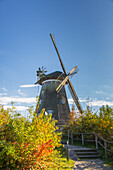  Dutch windmill Benz, Usedom Island, Baltic Sea, Mecklenburg-Western Pomerania, Germany 