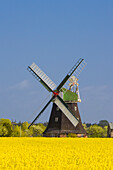  Dutch windmill Roevershagen, Mecklenburg-Vorpommern, Germany 