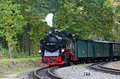 Rasender Roland, Dampflok, Schmalspurbahn, Insel Rügen, Mecklenburg-Vorpommern, Deutschland