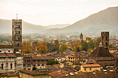 City center seen from above, Lucca medioeval city, Tuscany, Italy