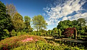 Japanischer Garten im Rheinauenpark, Blick auf den See und die Pagode, Bonn, NRW, Deutschland