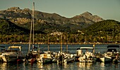  Yachts in the harbor of Port d´Andratx in the evening light, in the background the Tramuntana mountains, Mallorca, Spain 