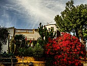 Villa mit Garten im Frühling, Sant Elm, Mallorca, Spanien