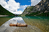 Pragser Wildsee, Südende, Baumstamm und Steine im klaren Wasser, Spiegelung der Berge im Wasser. Dolomiten, Südtirol, Italien, Europa