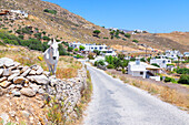 Weißes Pferd steht in der Nähe einer Landstraße, Insel Serifos, Kykladen, Griechenland