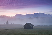  Morning mist at Geroldsee with Karwendel Mountains, Werdenfelsener Land, Upper Bavaria, Bavaria, Germany 