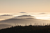  View from Lusen over the Bavarian Forest at sunrise, Bavarian Forest National Park, Bavaria, Germany 