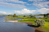  View of the Elbe, Elbe River Landscape Biosphere Reserve, Lower Saxony, Germany 