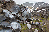 Lavastein im Lavafeld Laugahraun in Landmannalaugar, Fjallabak Nationalpark, Sudurland, Island