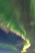  Northern lights, Aurora borealis, in the night sky, winter, Iceland 
