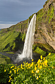 Seljalandsfoss, 66m hoher Wasserfall, Sommer, Island