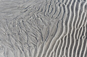  Ripple marks, structures in the mudflats, Wadden Sea National Park, Schleswig-Holstein, Germany 