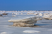  Ice floes in the Wadden Sea, winter, Schleswig-Holstein, Germany 