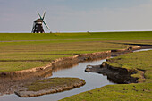 Windmühle, Insel Pellworm, Nordfriesland, Schleswig-Holstein, Deutschland