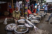 Männer verkaufen Fisch in der Nähe des Flusses Kirtankhola, Barisal (Barishal), Distrikt Barisal, Bangladesch, Asien