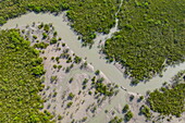 Luftaufnahme eines Kanus im Sundarbans-Mangrovengebiet, Pakhiralay, in der Nähe von Gosaba, South 24 Parganas District, Westbengalen, Indien, Asien