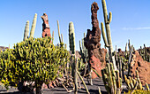 Cactus plants inside Jardin de Cactus designed by César Manrique, Guatiza, Lanzarote, Canary Islands, Spain