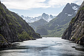 Steep sided glacial trough fiord jagged mountain peaks, Trollfjorden, Lofoten Islands, Nordland, northern, Norway