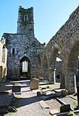 Historische Ruine des Timoleague Friary, County Cork, Irland, Republik Irland