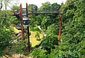 Xstrata Treetop Walkway, Royal Botanic Gardens, Kew, London, England, UK