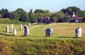 Menhire des Henge in Avebury, Wiltshire, England
