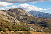 Olivenbäume in der Nähe von Dorf Aldea de Guaro, Periana, Axarquía, Andalusien, Spanien, Kalksteinberge
