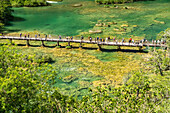Touristen auf der Fußgängerbrücke über den Fluss Krka im Nationalpark Krka, Kroatien, Europa 
