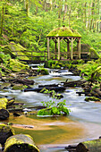 Die Karlstalschlucht im Pfälzerwald mit Moosalbe und Pavillion im Frühling, Trippstadt, Rheinland-Pfalz