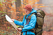  Hikers in the autumnal Palatinate Forest, Deidesheim, Rhineland-Palatinate, Germany 