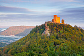  Trifels Castle in the first morning light in autumn, Annweiler am Trifels, Rhineland-Palatinate, Germany 