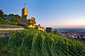 Die Wachtenburg in den Weinbergen von Wachenheim, Rheinland-Pfalz, Deutschland