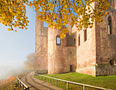  The Limburg monastery ruins in autumn, Bad Dürkheim, Rhineland-Palatinate, Germany 