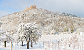  The Hambach Castle in the snow, Neustadt an der Weinstraße, Rhineland-Palatinate, Germany 