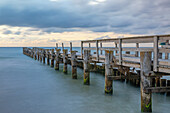  Old pier in Zingst, Zingst, Darß, Fischland, Baltic Sea, Mecklenburg-Western Pomerania, Germany, Europe 