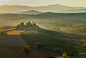 Herbstmorgen bei San Quirico d'Orcia, Podere Belvedere, Toskana, Italien, Europa           